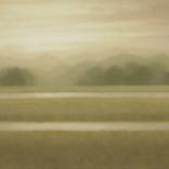 Marsh Light # 1 by Ann Wood Mezian