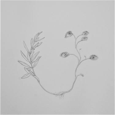 Print of Conceptual Botanic Drawings by BBFM Collective