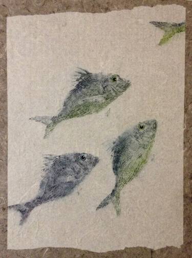 Original Fine Art Fish Printmaking by Paula Nishikawara
