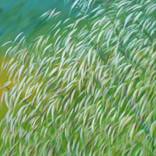 Collection Best of 2021: Mid-Year Report