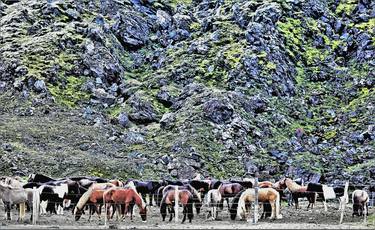 Horses and Rock. Iceland - Limited Edition of 10 thumb