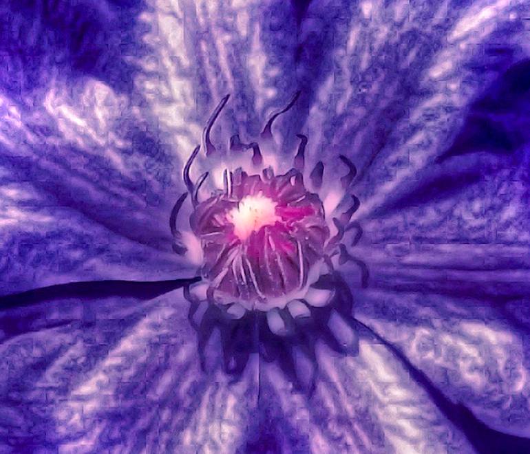 Original Photorealism Botanic Photography by Rick Brodey