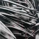 Collection Country Spotlight: South Korea