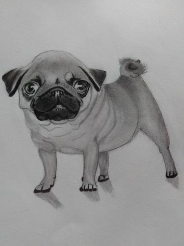 Print of Fine Art Dogs Drawings by Shira Art