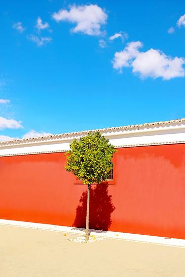 Orange tree & red wall, Art Print, Limited Edition 1 of 30 thumb