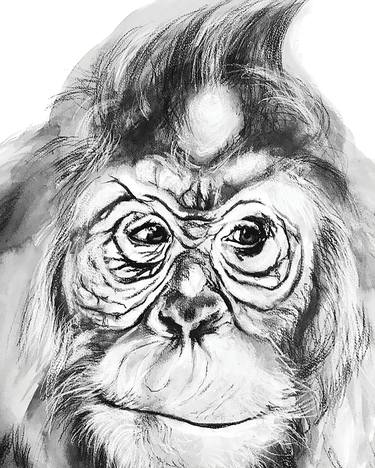 Oscar the Orangutan thumb