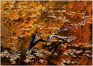 autumn water mirror - Limited Edition 1 of 30 thumb