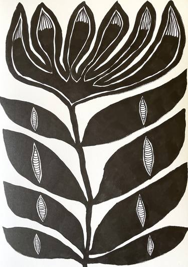 Print of Botanic Drawings by Gustavo Medina