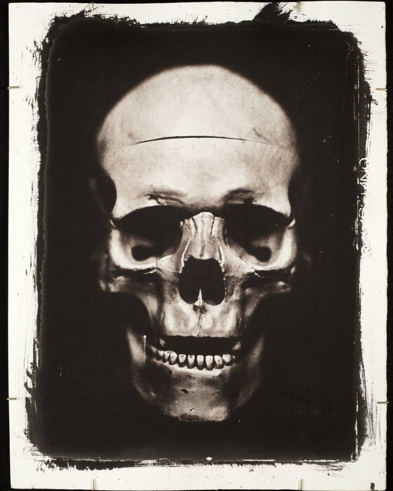 Human skull full VDB Original edition Photography by Michele