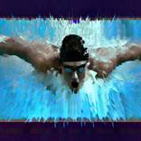 Collection The Fractal Butterfly Stroke