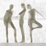 Collection Nudes
