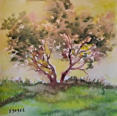 Original Fine Art Tree Paintings by susan barackman