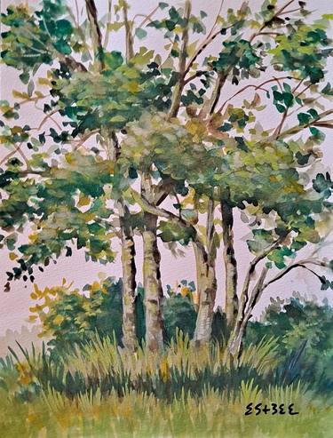 "Sun On leaves- Tall Trees" plein air watercolor painting thumb