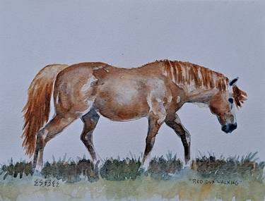 Original Fine Art Horse Paintings by susan barackman