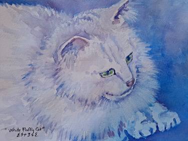 WHITE FLUFFY CAT thumb