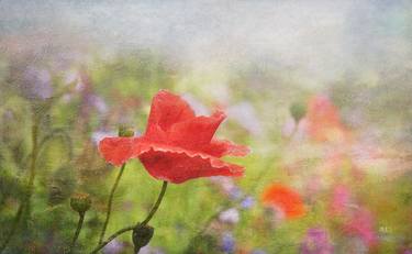 Original Impressionism Floral Digital by Simon Antony Wilson