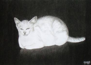 Print of Realism Cats Drawings by Eko Pramono