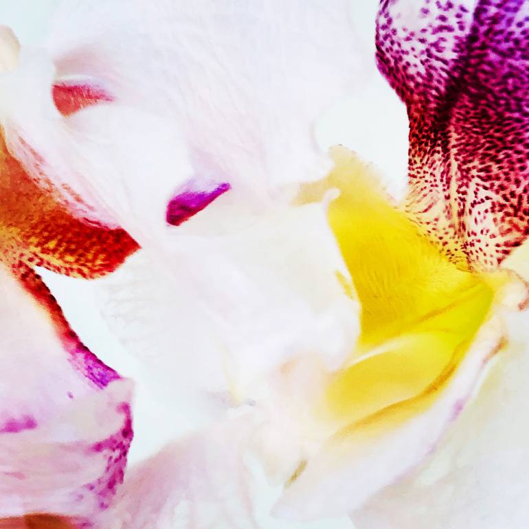 Original Abstract Expressionism Nature Photography by Mamakan Studio