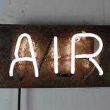 Collection Guest Curator: Ryan Lanji