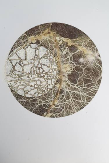 Mycelium Consciousness thumb