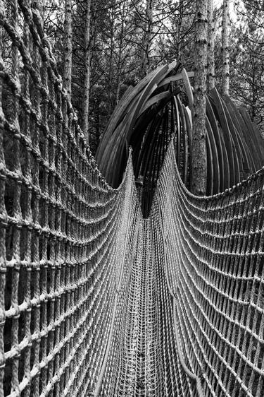 Canopy Walk at Whiting Forest of Dow Gardens thumb