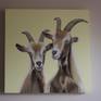 Two cheeky goats on a yellow background.
Will arrive well packaged and ready to hang.
The edges are painted so you don't need to frame.