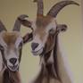 Two cheeky goats on a yellow background.
Will arrive well packaged and ready to hang.
The edges are painted so you don't need to frame.
