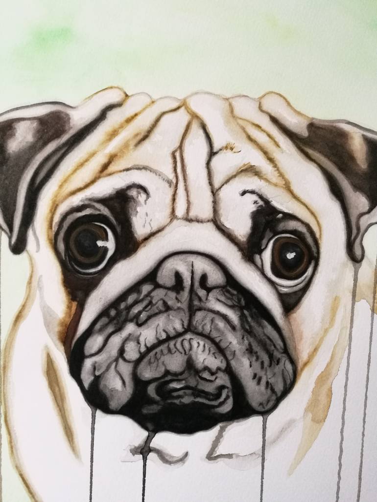 Original Other Animal Painting by Steven Shaw