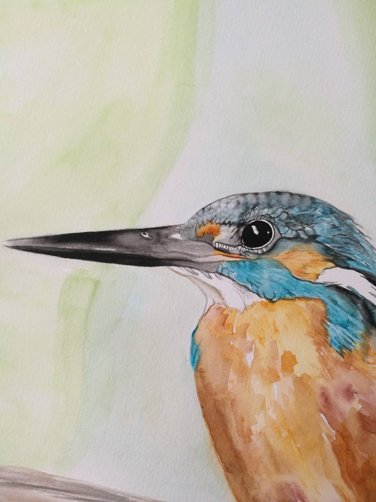 Original Illustration Animal Painting by Steven Shaw