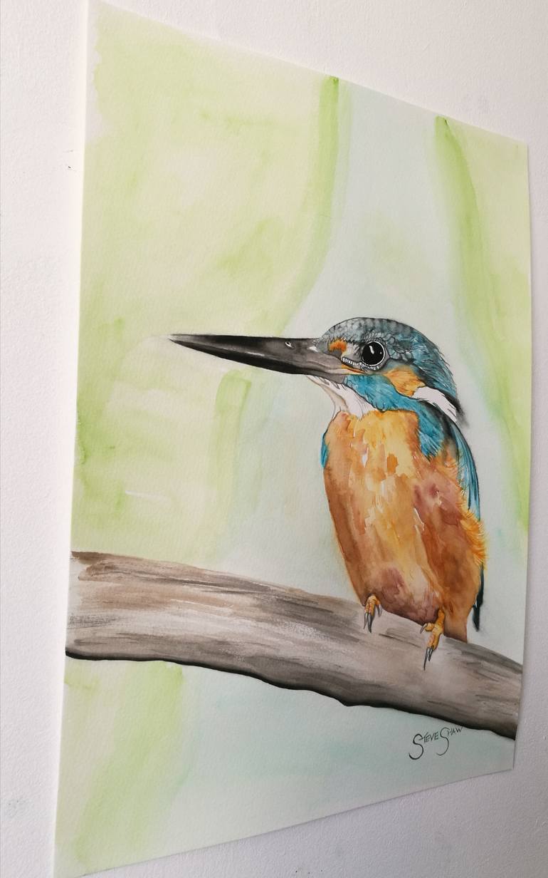 Original Illustration Animal Painting by Steven Shaw
