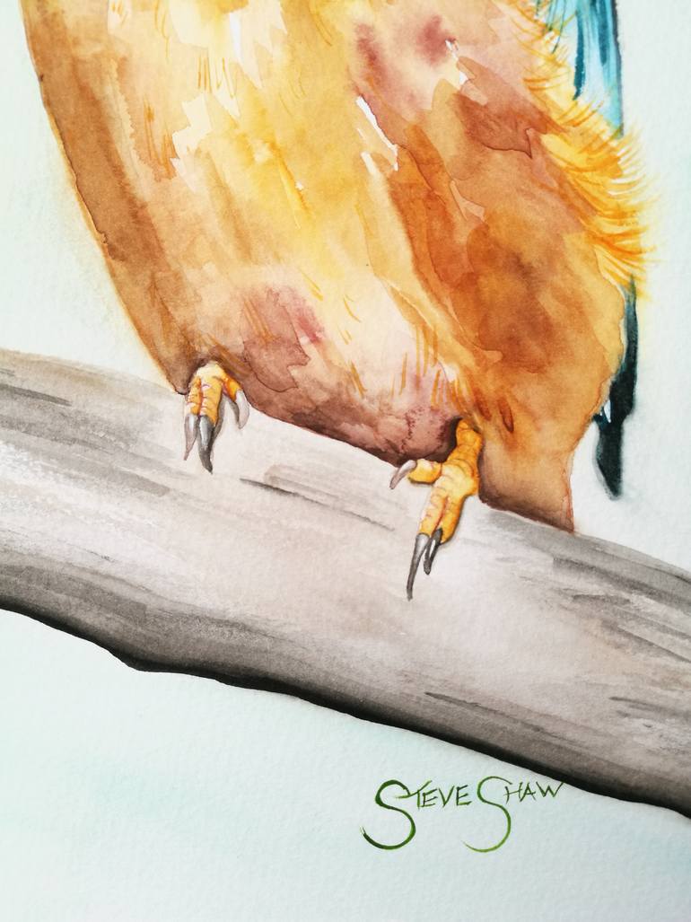 Original Illustration Animal Painting by Steven Shaw