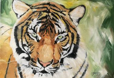 Wild Spirit. Tiger Painting. Oil on Paper. Painting by Steven Shaw | Saatchi Art