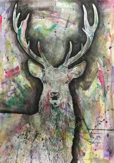 Original Animal Painting by Steven Shaw