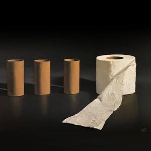Toilet Paper Study
