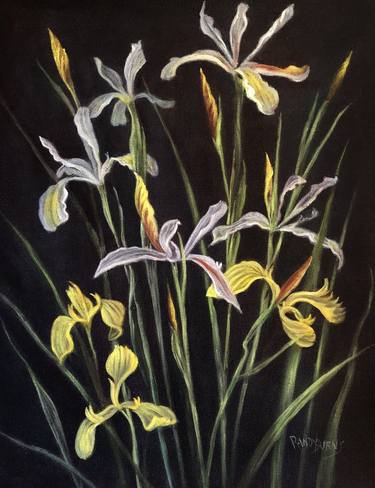 Print of Fine Art Floral Paintings by Rand Burns