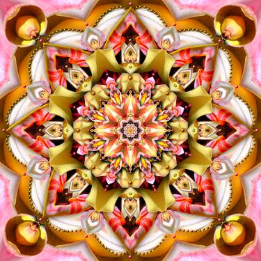 Fiesta Rosa - Limited Edition 1 of 5 thumb