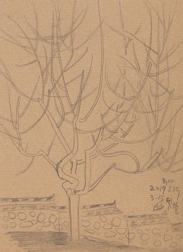 Original Fine Art Tree Drawings by houk lee