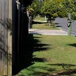 Suburban Series 1 by Denise Clark