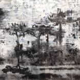 The Secret Life of Trees by JANE DAVIES