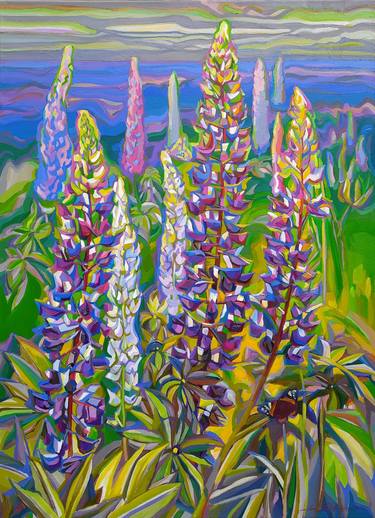 Lupine blooms thumb