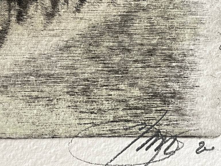 Original Contemporary Floral Printmaking by Safet H. ///    Safa    ///    Fine Art Colection