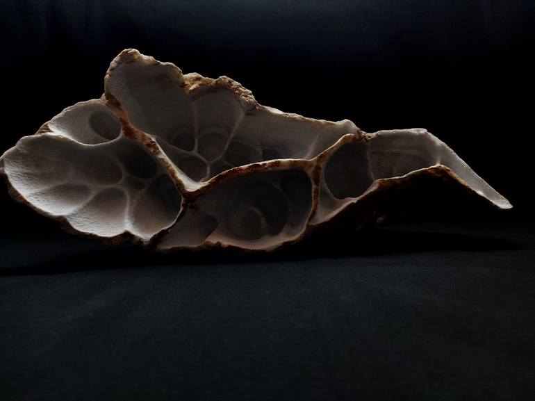 Original Nature Sculpture by Giorgos Papasotiriou