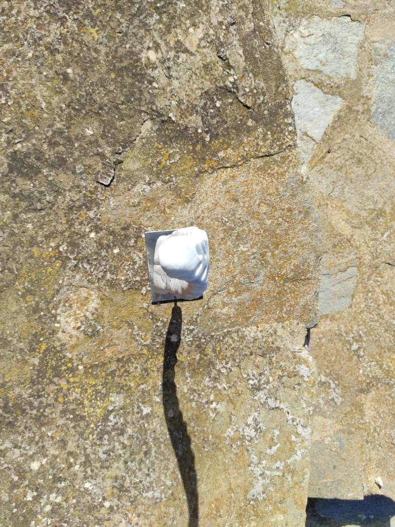 Original Abstract Botanic Sculpture by Giorgos Papasotiriou