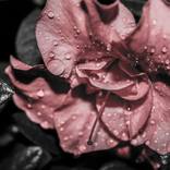 Rainy Night - Limited Edition 1 of 10 by Zach Montz