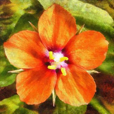 Original Floral Mixed Media by Arkpint Onandia