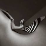 Daliesque 12 - Limited Edition of 100 by Gillian Fortson