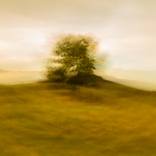 Collection Landscape and Ethereal