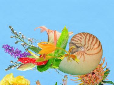 Still Life with Cornucopia and Nautilus - Limited Edition 1 of 1 thumb