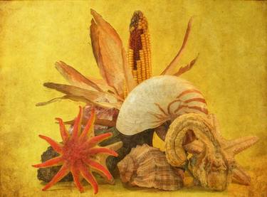 Still Life with Corn and Nautilus - Limited Edition 1 of 1 thumb