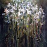 Flower 1 - Limited Edition of 500 by Rochelle Blumenfeld